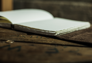 Penman Journal