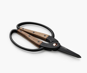 Walnut Craft Scissors